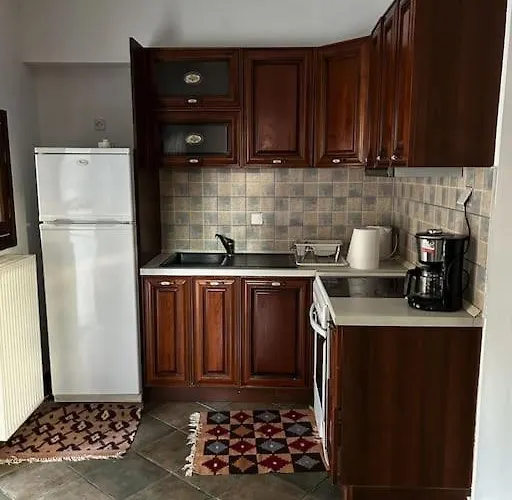 Pinelopi Appartement Arachova